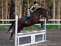 Silvano 11