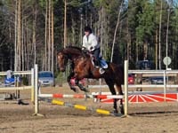 Silvano 12