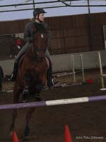 Silvano 14