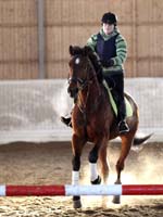Silvano 17