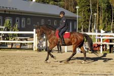 Silvano 19