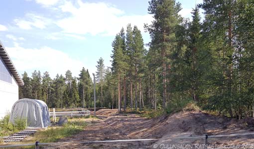 Tallinhuoltoa