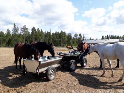 Tallinhuoltoa