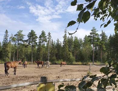 Tallinhuoltoa