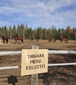 Tallinhuoltoa
