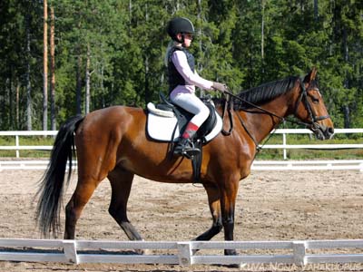 Tseerium
