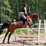 Unicum 11