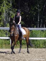 Unicum 14