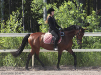 Unicum 20