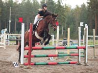 Unicum 23