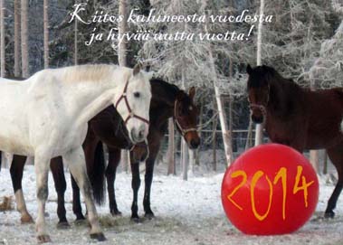 Hyvää Uutta Vuotta 2014!