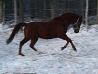 Wilminkety