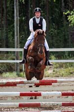 Wilminkety 190