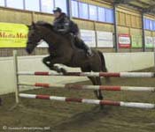 Wilminkety 13