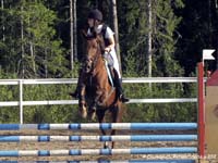 Wilminkety 16