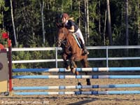 Wilminkety 17