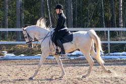 Wotan 8