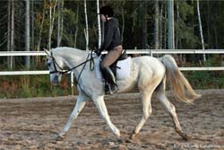 Wotan 9